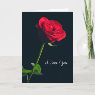 Cartão De Festividades Eu Amo Você Para Qualquer Um Rosa Vermelha Elegant