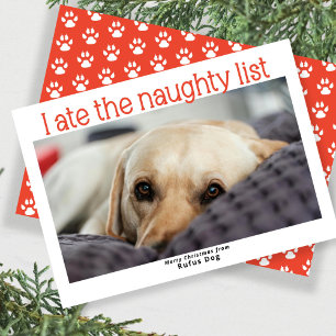 Cartão De Festividades Eu Comi A Foto De Natal Do Cachorro Da Lista Maldi