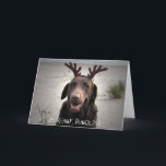Cartão De Festividades Eu estou pronto<br><div class="desc">Um presente maravilhoso para alguma pessoa do cão,  mas especialmente para um amante de Labrador.</div>