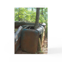 Eu Estou Tão Envolvido Em Você: Uma Nota De Amor