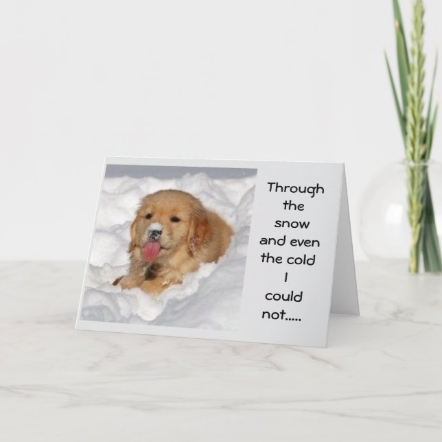 CARTÃO DE FESTIVIDADES "EU NÃO PODERIA PERDER DIZER MERGULHO NATAL PARA V (Frente)