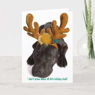 Cartão De Festividades eu não sei sobre todas essas coisas de férias