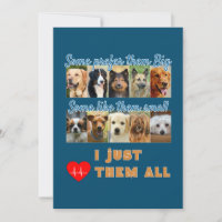 Eu Só Amo A Todos Os Cães Foto Design