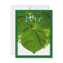 Eu te amo como as árvores amam o sol