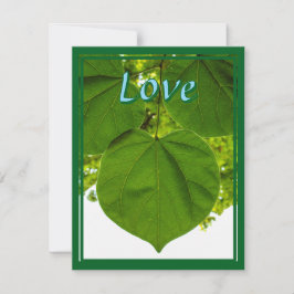 Cartão De Festividades Eu te amo como as árvores amam o sol