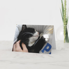 Cartão De Festividades Eu te amo este muito