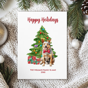 Cartão De Festividades Família de Cachorro Blue Heeler no Natal