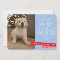 FAMÍLIA PET - Tipografia branca moderna vermelha a