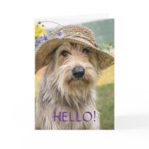 FANCY PUP - THINKING OF YOU CARD