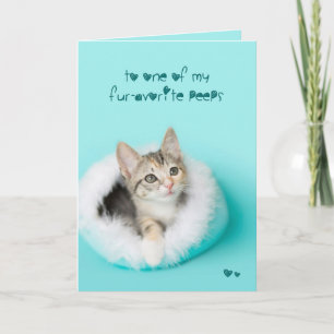 Cartão De Festividades Favorite peep Kitten Easter Card
