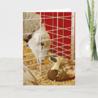 Fazemos um par estranho...