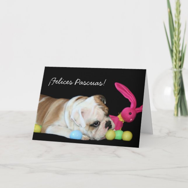 Cartão De Festividades ¡ Felices Pascuas!  tarjeta de buldogue Ingles (Frente)