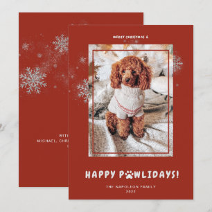 Cartão De Festividades Felicidades Natal Alegre PAWlidays Foto de Animalz