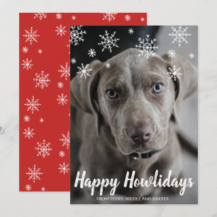 Cartão De Festividades Felicidades Natalinas Foto de Cachorro Fofo Natal 