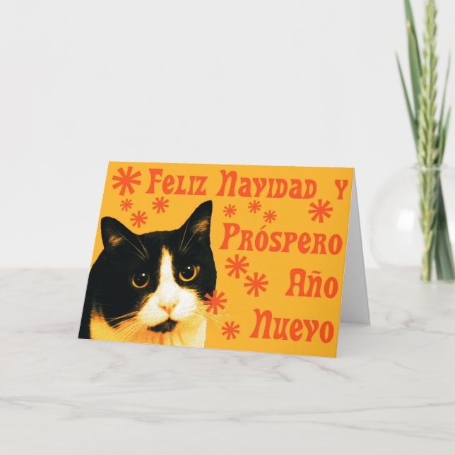 Cartão De Festividades Felix Navidad (Frente)