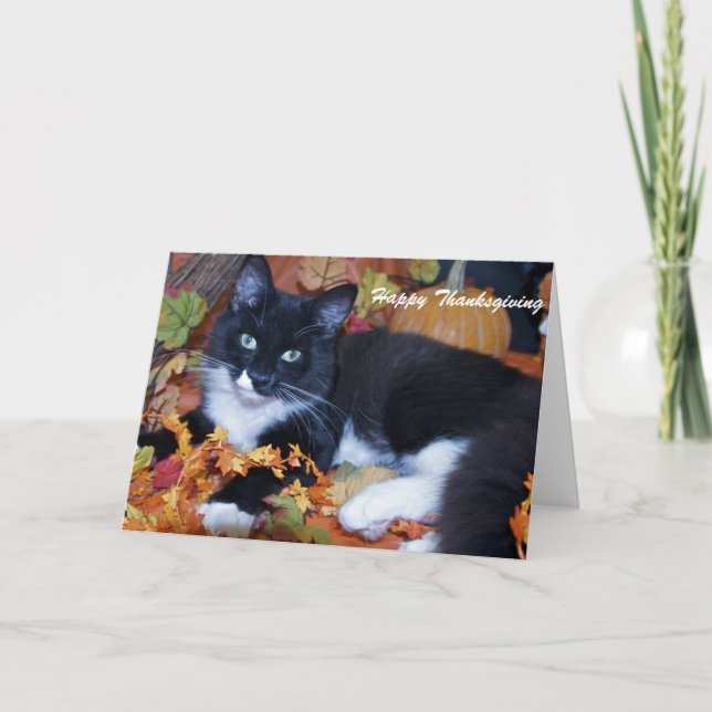 Cartão De Festividades Feliz Ação de Graças (Frente)