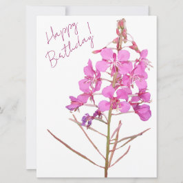 Cartão De Festividades Feliz aniversário, bonito, florescente rosa-minima