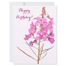 Feliz aniversário, bonito rosa, floral simples