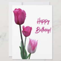 Feliz aniversário bonito tulipa rosa linda floraçã
