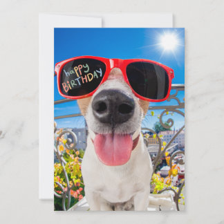 Cartão De Festividades Feliz Aniversário Cachorro de Sol