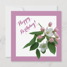 Feliz aniversário, cereja rosa bonito floresce