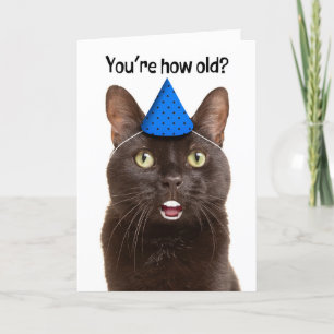 Cartão De Festividades Feliz Aniversário Chocado Gato com Humor Dente Hum
