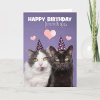 Feliz Aniversário De Nós Dois Gatos Gons