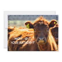 Feliz Aniversário Divertido Histórias do Campo de 