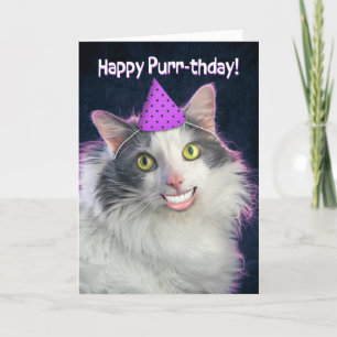 Cartão De Festividades Feliz Aniversário Engraçado Gato Com Sorvete Human