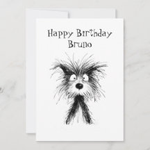 Feliz aniversário engraçado para animais de estima