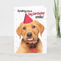 Feliz Aniversário Engraçado Raposa Vermelha Labrad