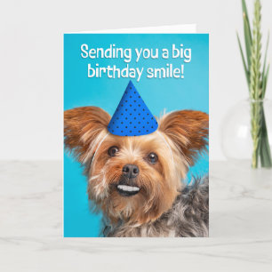 Cartão De Festividades Feliz aniversário, Engraçado, Yorkie cão com dente