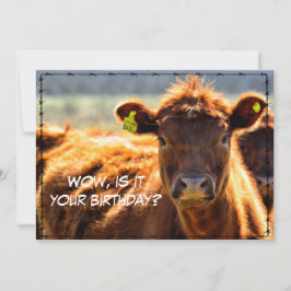 Cartão De Festividades Feliz Aniversário Feliz Conversações de Fazenda