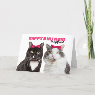 Cartão De Festividades Feliz Aniversário Fêmea Amiga Gatos Cute em Arco R