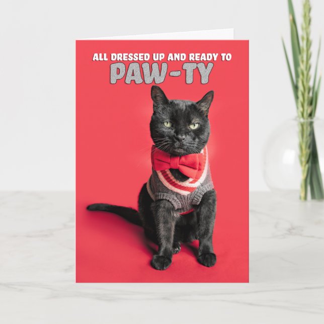 Cartão De Festividades Feliz Aniversário, Gato Bonito Vestido em Suor (Frente)