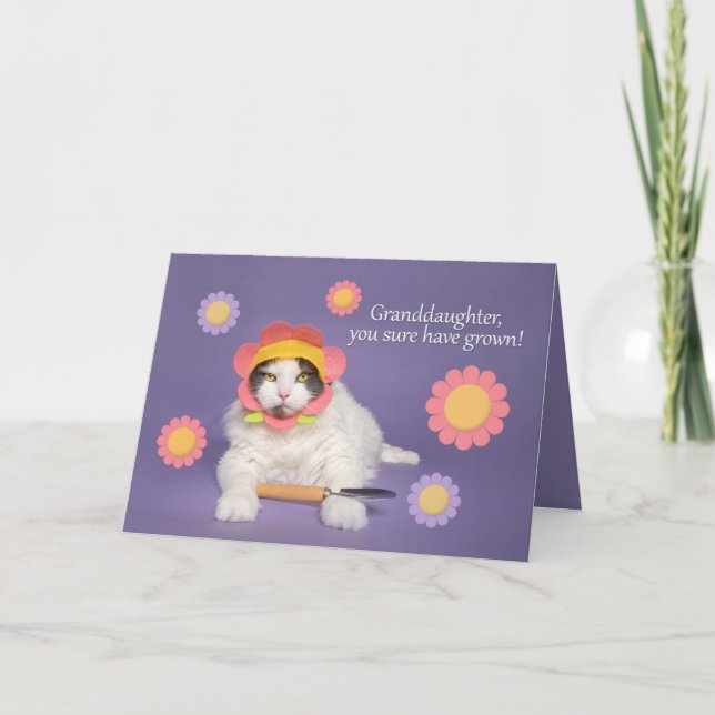 Cartão De Festividades Feliz Aniversário Gato do Vovô no Chapéu Flor (Frente)