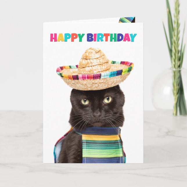 Cartão De Festividades Feliz Aniversário Gato Negro Bonito na Sombrerro (Frente)