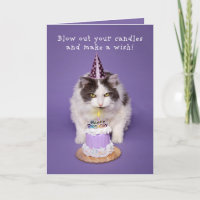 Feliz Aniversário Gato Soprando Vela Com Humor De