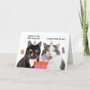 Cartão De Festividades Feliz Aniversário, Gatos Engraçados Falando Humor