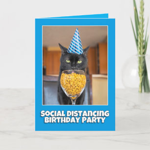 Cartão De Festividades Feliz Aniversário, Humor Gato Distanciante Social