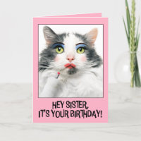 Feliz Aniversário Irmã Engraçada Gato em maquiagem