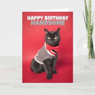 Cartão De Festividades Feliz Aniversário Para Ele Bonito Humor Gato Bonit