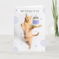 Feliz Aniversário Para Qualquer Gato De Tabby Lara