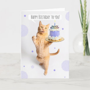 Cartão De Festividades Feliz Aniversário Para Qualquer Gato De Tabby Lara