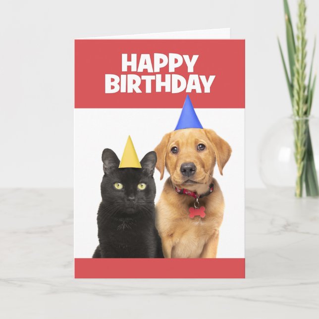 Cartão De Festividades Feliz Aniversário para qualquer Gato e Cachorro no (Frente)