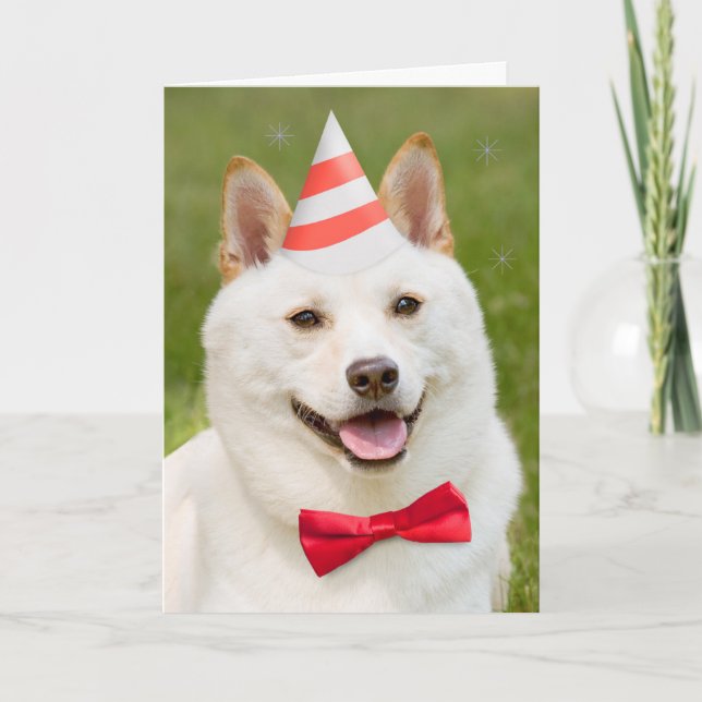 Cartão De Festividades Feliz Aniversário, Qualquer Um Shiba Inu Cachorro  (Frente)
