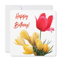 Feliz aniversário, tulipa amarela vermelha
