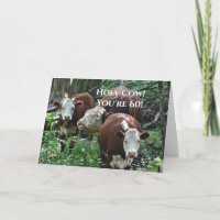 Feliz aniversário, vaca santa!