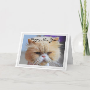 Cartão De Festividades Feliz Ano Novo Humor do Gato Persa