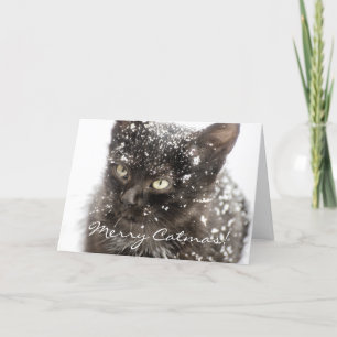 Cartão De Festividades Feliz Catmas Gato de Natal